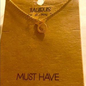 16 inch zodiac Taurus sign necklace